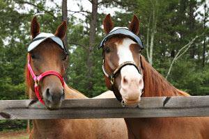 Casquette Protege UV 90% sans Oreilles - SHOPHORSE